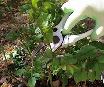 Maintenance Services